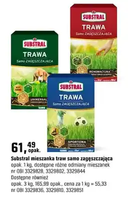 OBI Mieszanka traw sama zagęszczająca oferta