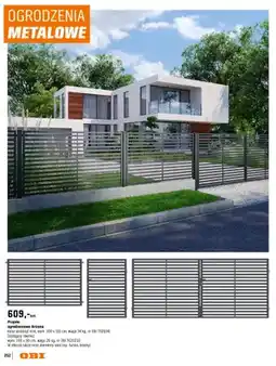 OBI Przęsło ogrodzeniowe Arizona oferta