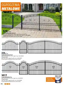 OBI Przęsło ogrodzeniowe Tina oferta
