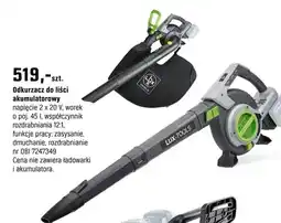 OBI Odkurzacz do liści akumulatorowy oferta