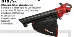 OBI Odkurzacz do liści akumulatorowy oferta