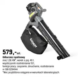 OBI Odkurzacz spalinowy oferta