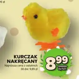 Stokrotka Kurczak nakręcany oferta