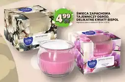 Stokrotka Świeca zapachowa Tajemniczy Ogród, Delikatne Kwiaty Bispol oferta