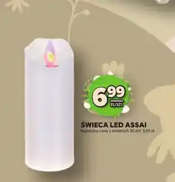 Stokrotka Świeca LED Assai oferta