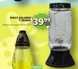 Stokrotka Znicz solarny T-264SOL oferta