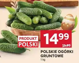 Stokrotka Ogórki gruntowe oferta