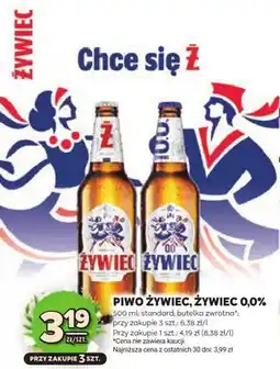 Stokrotka Piwo żywiec 0,0% oferta