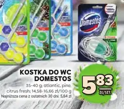 Stokrotka Kostka do WC oferta
