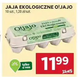 Stokrotka Jaja ekologiczne Oliajo oferta