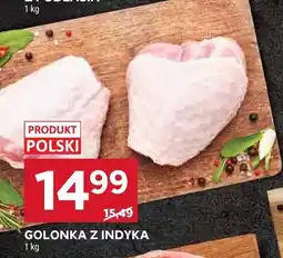 Stokrotka Golonka z indyka oferta