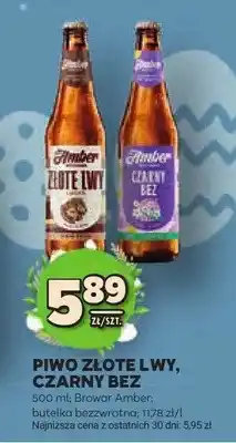 Stokrotka Piwo złote lwy, czarny bez oferta