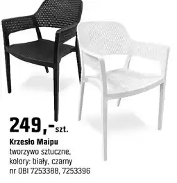 OBI Krzesło Maipu oferta