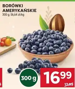 Stokrotka Borówki amerykańskie oferta