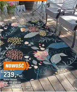 OBI Dywan Borneo oferta