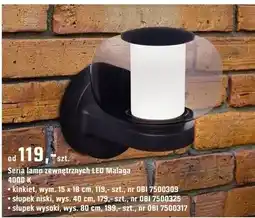 OBI Seria lamp zewnętrznych LED Malaga 4000 K oferta