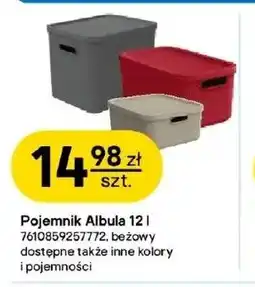Castorama Pojemnik Albula oferta