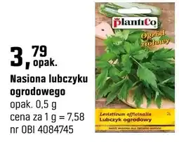 OBI Nasiona lubczyku ogrodowego oferta
