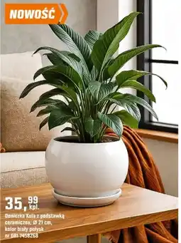 OBI Doniczka Kula z podstawką ceramiczna, Ø 21 cm, kolor biały połysk oferta