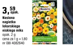 OBI Nasiona nagietka lekarskiego niskiego miks oferta