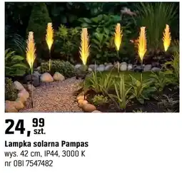 OBI Lampka solarna Pampas oferta