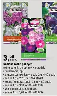 OBI Nasiona roślin pnących oferta