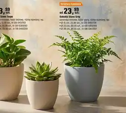 OBI Doniczka Stone Grey ceramika matowa, kolor szary, różne rozmiary oferta