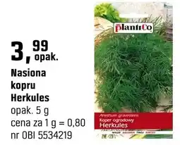 OBI Nasiona kopru Herkules oferta