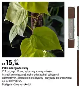 OBI Palik biodegradowalny ⌀ 4 cm oferta