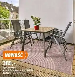 OBI Dywan Pretoria oferta