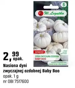 OBI Nasiona dyni zwyczajnej ozdobnej Baby Boo oferta