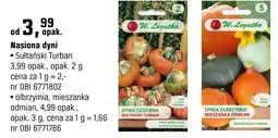 OBI Nasiona dyni olbrzymia, mieszanka odmian oferta