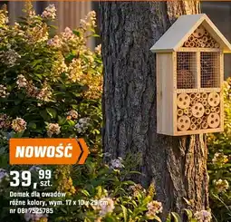 OBI Domek dla owadów różne kolory oferta