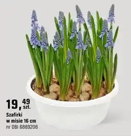 OBI Szafirki oferta