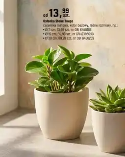 OBI Doniczka Stone Taupe ceramika matowa, kolor beżowy, różne rozmiary oferta