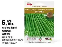 OBI Nasiona fasoli karłowej Syrenka oferta
