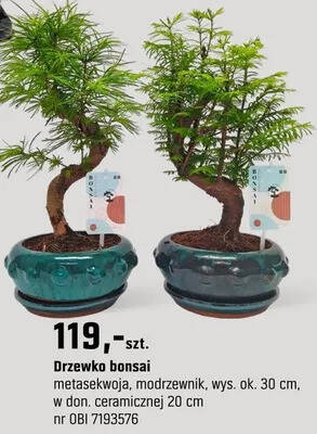ikea bambus sessel Bloomingville Sole Loungesessel, Natur, Bambus  LaLe Living