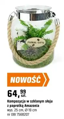 OBI Kompozycja w szklanym słoju z paprotką Amazonia oferta