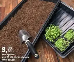 OBI Taca wysiewna oferta