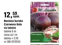 OBI Nasiona buraka Czerwona Kula na taśmie oferta