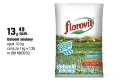 OBI Dolomit mielony oferta