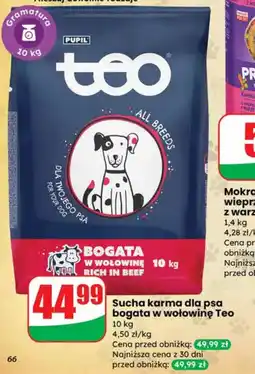 Dino Karma dla psa Teo oferta