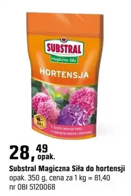 OBI Magiczna Siła do hortensji oferta