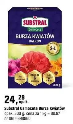OBI Osmocote Burza Kwiatów oferta
