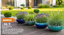 OBI Donice ceramiczne Rib oferta