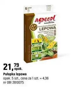 OBI Pułapka lepowa oferta