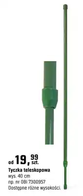 OBI Tyczka teleskopowa oferta