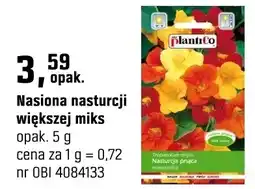 OBI Nasiona nasturcji większej miks oferta