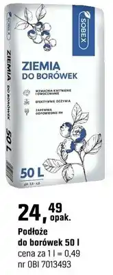 OBI Podłoże do borówek oferta