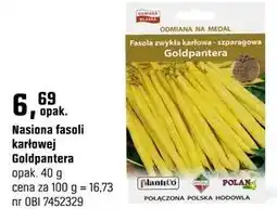 OBI Nasiona fasoli karłowej Goldpantera oferta